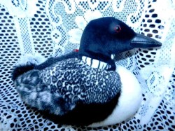 loon main